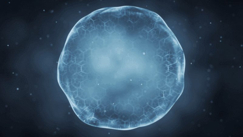 生物医药原液出口，这些资质要求你必须知道**