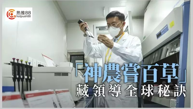 PCR检测试剂配制步骤详解：从准备到应用的关键环节