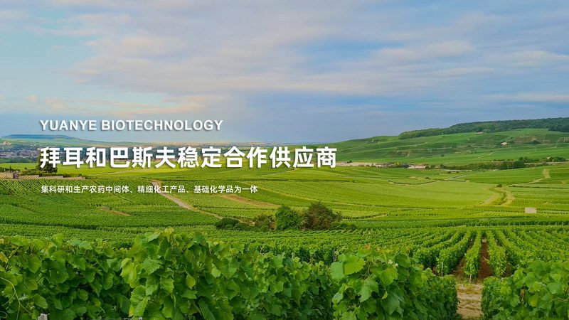 癌症基因检测准确率怎么样？揭秘精准医疗的关键