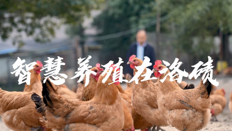 生物制品质量控制参数，你了解多少？**