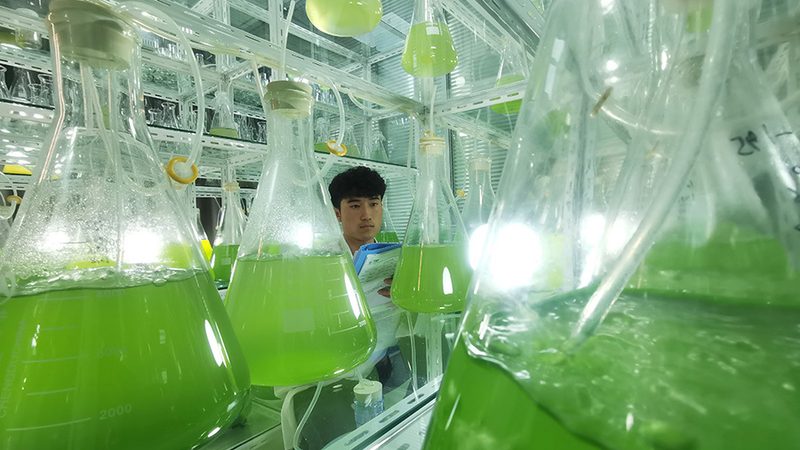 生物医药外包行业：揭秘龙头企业排名背后的逻辑